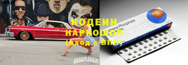 шишки Арсеньев