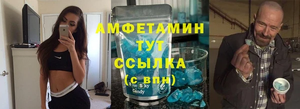 шишки Арсеньев