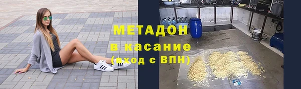 шишки Арсеньев