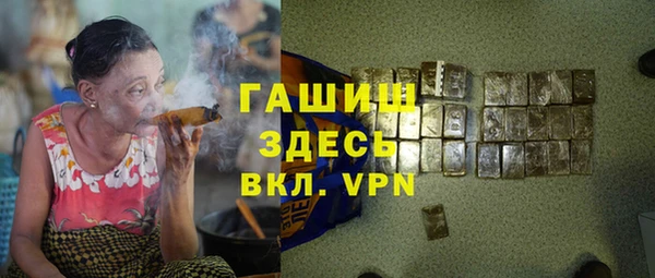 шишки Арсеньев