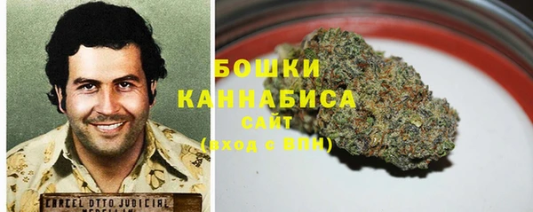 шишки Арсеньев