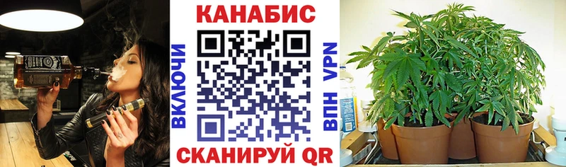 Марихуана планчик  Шахунья 